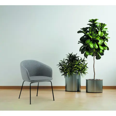 Chaise de réunion en tissu Elton Vert acide ou gris — Vert acide ou gris